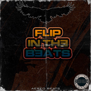 Deltantera: Aereo beats - Flip in the Beats (Instrumentals)