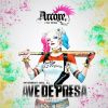 Arcore - Interbeat (Vol. 1): Ave de presa