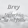 Brey - Desechos de mi folio