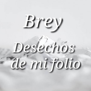 Deltantera: Brey - Desechos de mi folio
