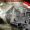 Contracultura crew - Expreso sur