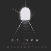 Geiser - Introspección