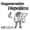 Guerrero - Regeneración hepática