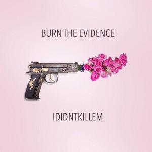 Deltantera: Ididntkillem - Burn the evidence