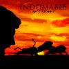 Javier Indomable - Indomable