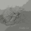 Le emjaén - Scruffy cat (Instrumentales)