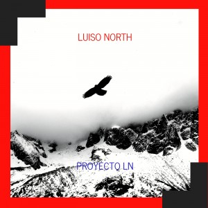 Deltantera: Luiso North - Proyecto LN