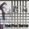Mahatma Gin - 30&Pico barras