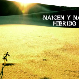 Deltantera: Naicen y Na'B - Híbrido