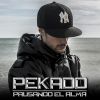 Pekado - Pausando el alma