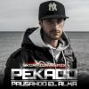 Pekado y Skorpion - Pausando el alma (Remix)
