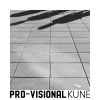 Pro-visional - Kune
