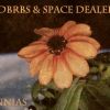 Rdbrbs y Space dealers - Zinnias (Instrumentales)
