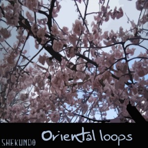 Deltantera: Shek - Oriental loops (Instrumentales)