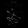 Soul - The end