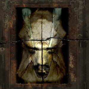 Trasera: Still - Destino prohibido