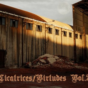 Deltantera: Vike - Cicatrices y virtudes Vol. 2