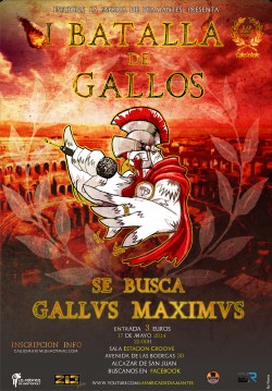 Batalla gallos gallus maximus en Alcazar De San Juan