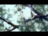 Beetlexus - Creen