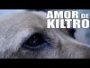 Denst - Amor de kiltro (Videoclip)