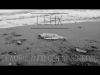 Lehx - Deambulando con mi soledad (Videoclip)