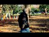 Ninflowmanos - Vértigo 2013 (Promocional)