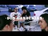 Scratch bandicoots y 3deases - Dos gardenias