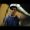 Yesh con Davman Project - Aprende a perder